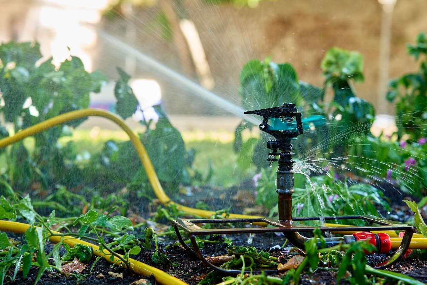 Beginner’s Guide to Installing a Smart Irrigation System in Dubai (2025)