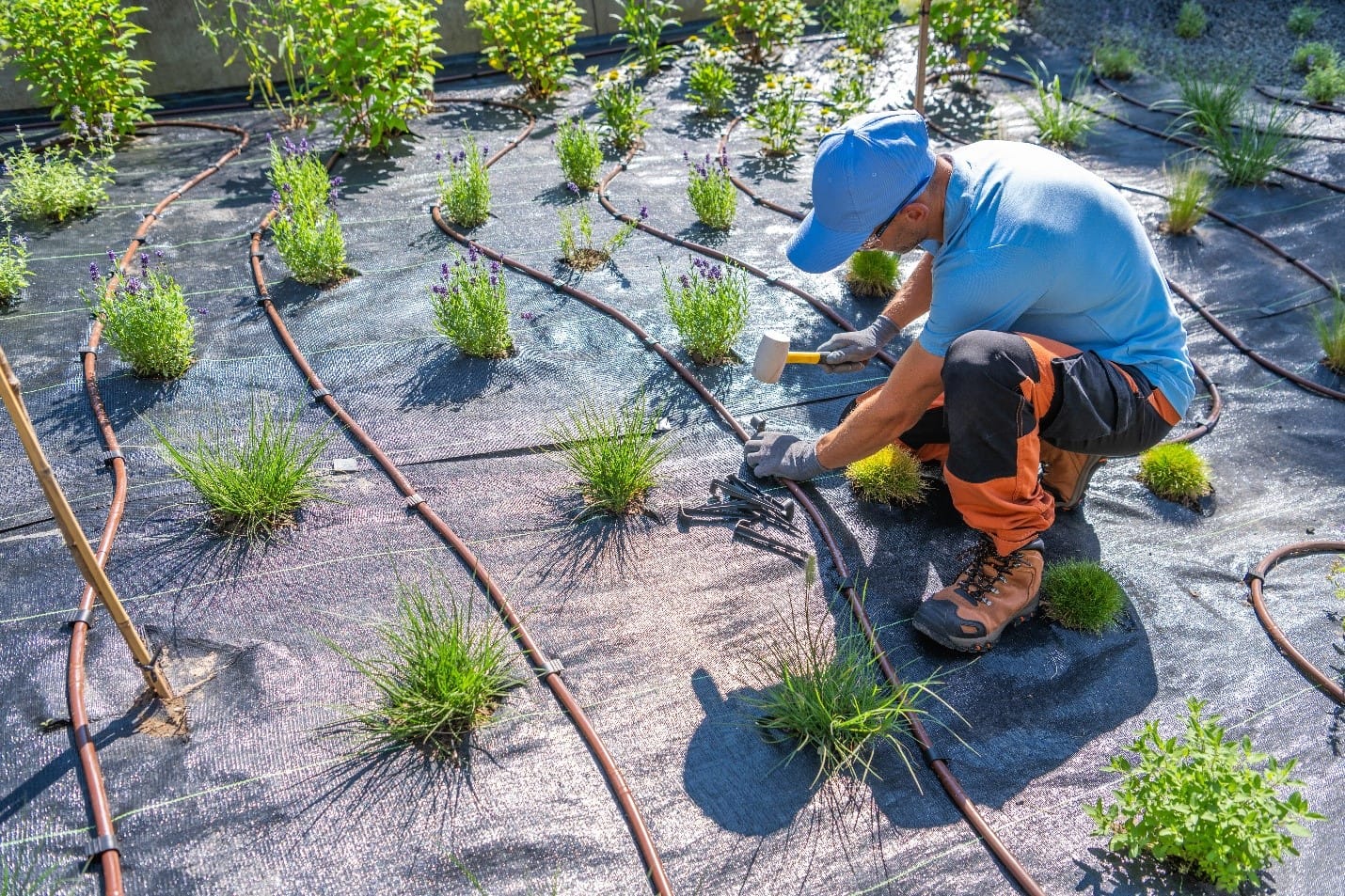 Planning Your Installation for Smart irrigation system in Dubai