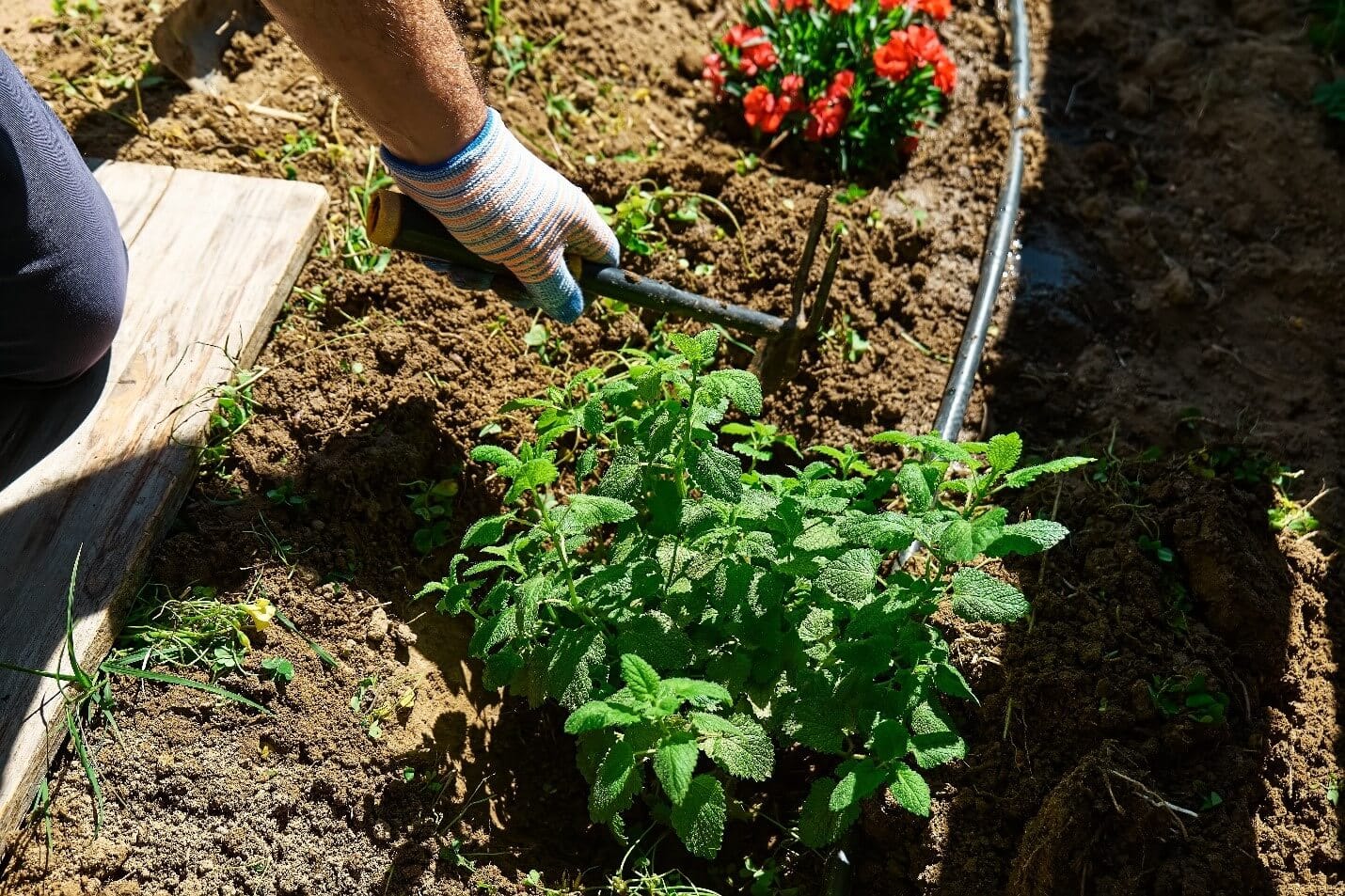 Step-by-Step DIY Installation Guide:
