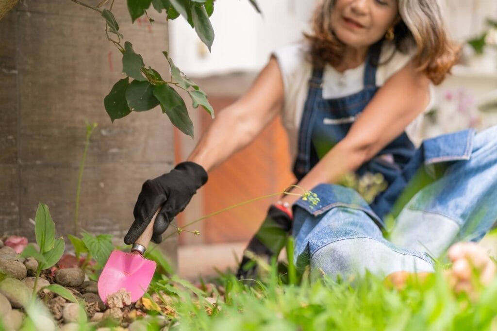 Tips for Dubai Homeowners to Water Smart Gardens in 2025